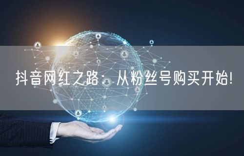 抖音网红之路：从粉丝号购买开始!