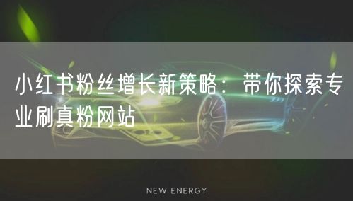 小红书粉丝增长新策略：带你探索专业刷真粉网站