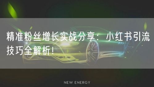 精准粉丝增长实战分享：小红书引流技巧全解析！