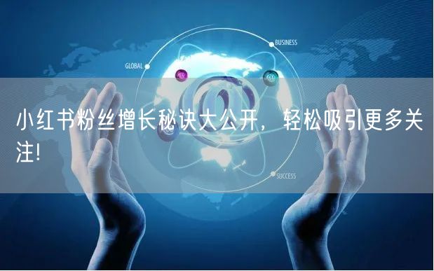 小红书粉丝增长秘诀大公开，轻松吸引更多关注!