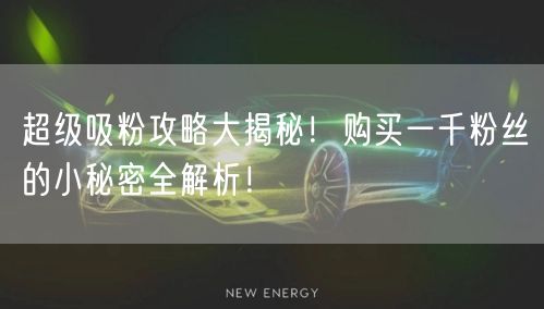 超级吸粉攻略大揭秘！购买一千粉丝的小秘密全解析！
