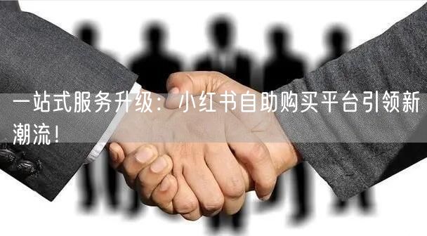 一站式服务升级：小红书自助购买平台引领新潮流！