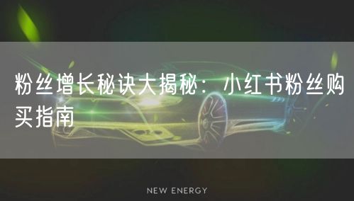 粉丝增长秘诀大揭秘：小红书粉丝购买指南