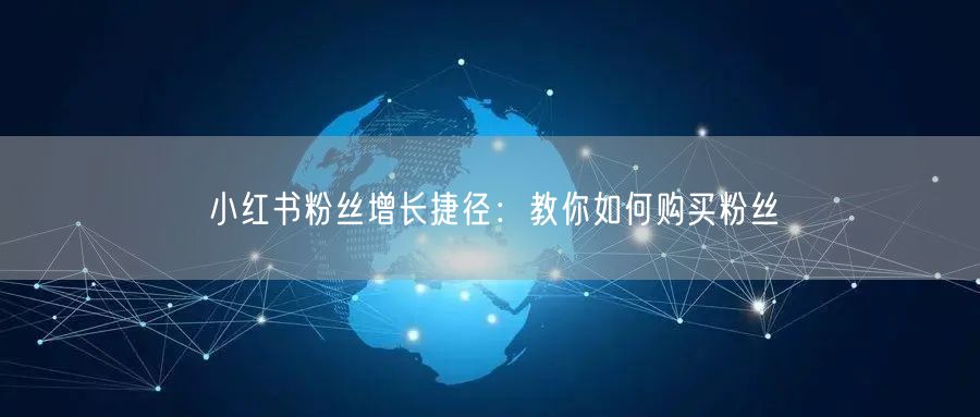 小红书粉丝增长捷径：教你如何购买粉丝