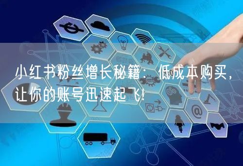 小红书粉丝增长秘籍：低成本购买，让你的账号迅速起飞!