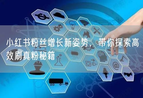 小红书粉丝增长新姿势，带你探索高效刷真粉秘籍