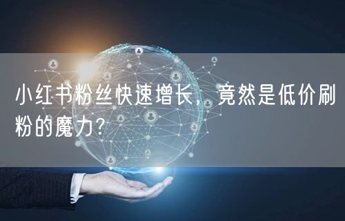 小红书粉丝快速增长，竟然是低价刷粉的魔力？