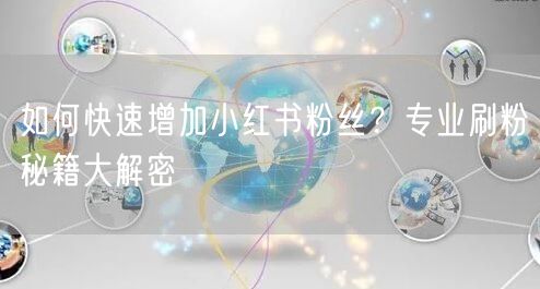 如何快速增加小红书粉丝？专业刷粉秘籍大解密