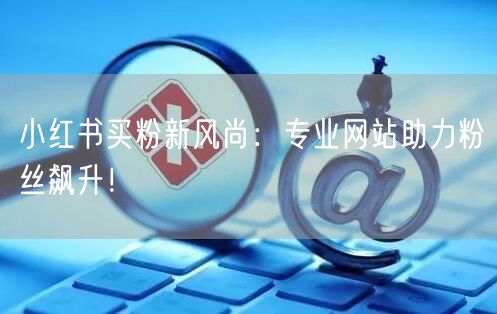 小红书买粉新风尚：专业网站助力粉丝飙升！
