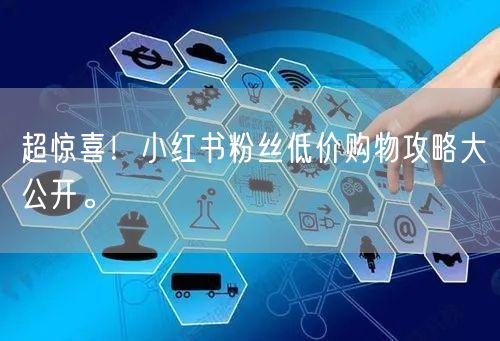 超惊喜！小红书粉丝低价购物攻略大公开。