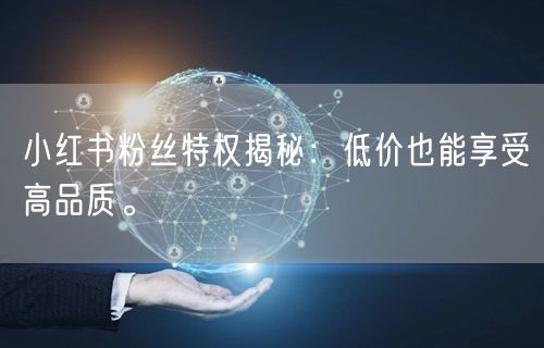 小红书粉丝特权揭秘：低价也能享受高品质。