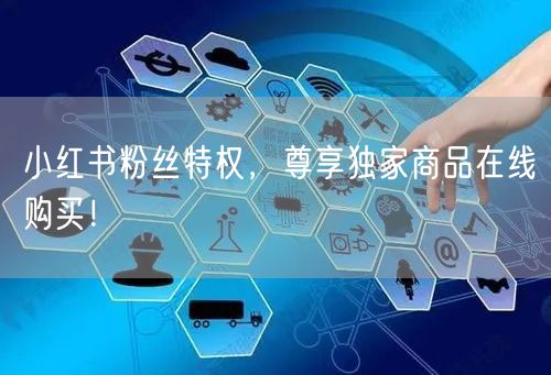 小红书粉丝特权，尊享独家商品在线购买！