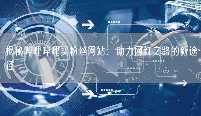 揭秘哔哩哔哩买粉丝网站：助力网红之路的新途径