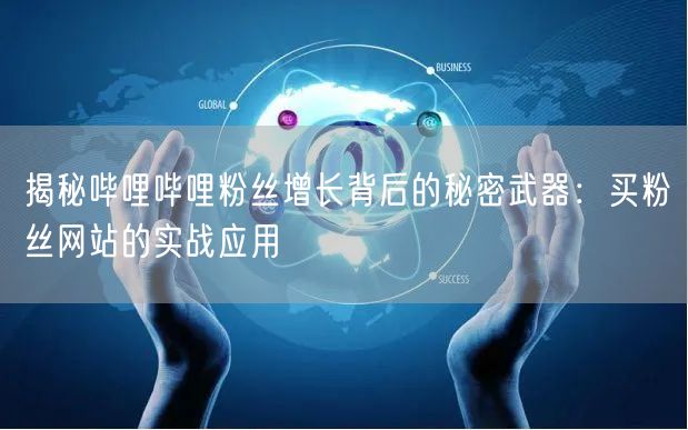 揭秘哔哩哔哩粉丝增长背后的秘密武器：买粉丝网站的实战应用