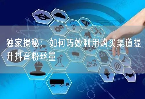 独家揭秘：如何巧妙利用购买渠道提升抖音粉丝量