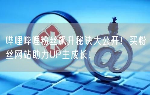 哔哩哔哩粉丝飙升秘诀大公开！买粉丝网站助力UP主成长！
