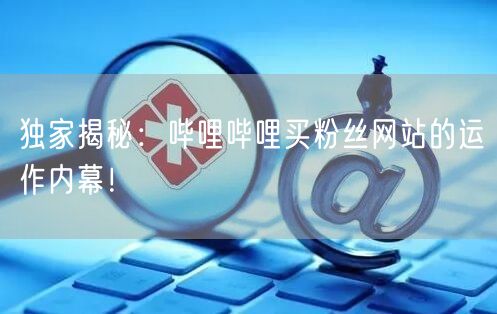 独家揭秘：哔哩哔哩买粉丝网站的运作内幕！