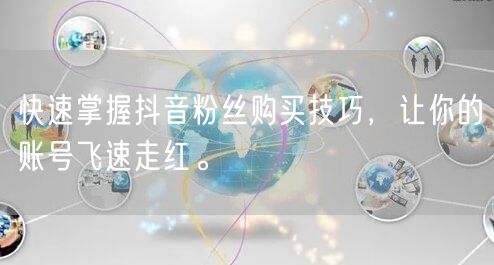 快速掌握抖音粉丝购买技巧，让你的账号飞速走红。