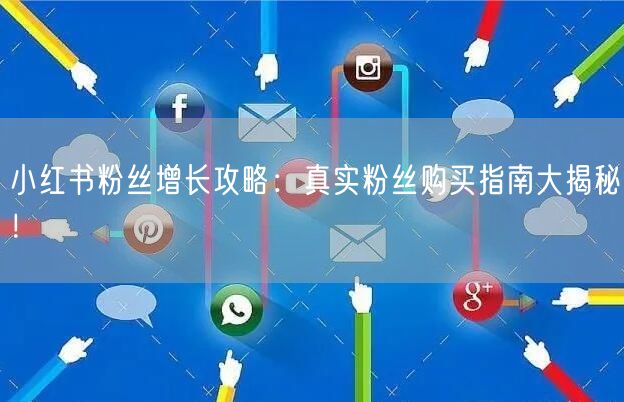小红书粉丝增长攻略：真实粉丝购买指南大揭秘！