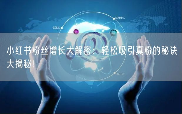 小红书粉丝增长大解密：轻松吸引真粉的秘诀大揭秘！