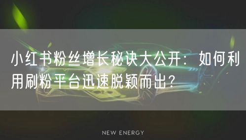 小红书粉丝增长秘诀大公开：如何利用刷粉平台迅速脱颖而出？
