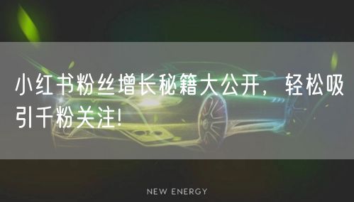 小红书粉丝增长秘籍大公开，轻松吸引千粉关注!