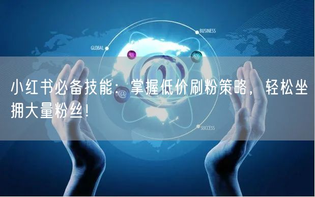 小红书必备技能：掌握低价刷粉策略，轻松坐拥大量粉丝！