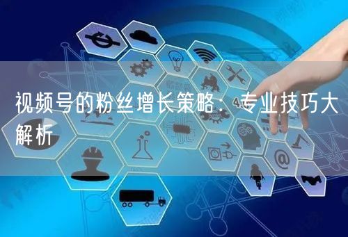 视频号的粉丝增长策略：专业技巧大解析