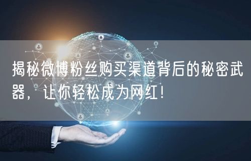 揭秘微博粉丝购买渠道背后的秘密武器，让你轻松成为网红！