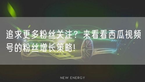 追求更多粉丝关注？来看看西瓜视频号的粉丝增长策略!