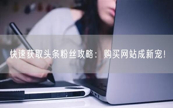 快速获取头条粉丝攻略：购买网站成新宠！