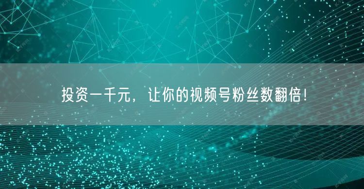 投资一千元，让你的视频号粉丝数翻倍！
