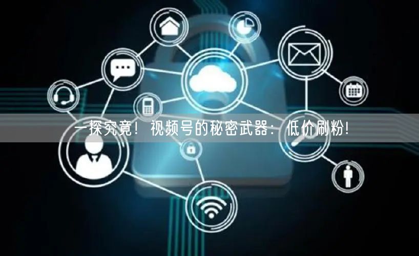 一探究竟！视频号的秘密武器：低价刷粉!