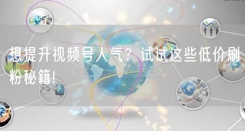 想提升视频号人气？试试这些低价刷粉秘籍!