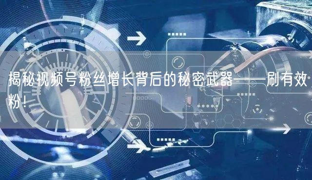 揭秘视频号粉丝增长背后的秘密武器——刷有效粉！
