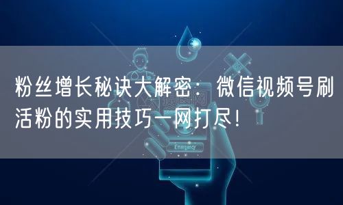 粉丝增长秘诀大解密：微信视频号刷活粉的实用技巧一网打尽！
