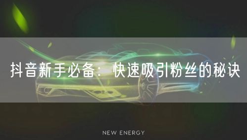抖音新手必备：快速吸引粉丝的秘诀