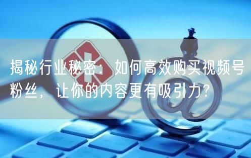 揭秘行业秘密：如何高效购买视频号粉丝，让你的内容更有吸引力？