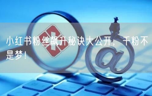 小红书粉丝飙升秘诀大公开，千粉不是梦！
