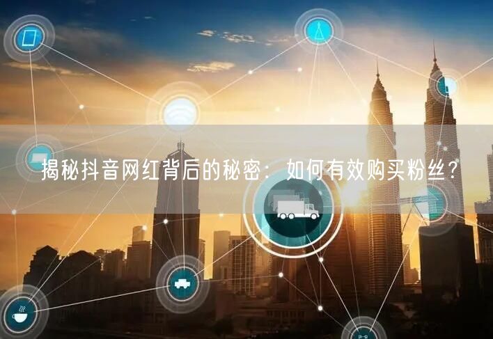 揭秘抖音网红背后的秘密：如何有效购买粉丝？