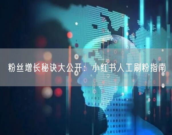 粉丝增长秘诀大公开：小红书人工刷粉指南