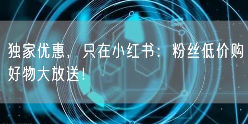 独家优惠，只在小红书：粉丝低价购好物大放送！