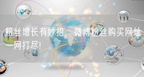 粉丝增长有妙招，微博粉丝购买网址一网打尽!