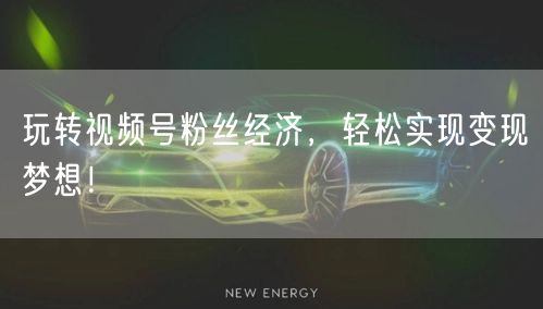 玩转视频号粉丝经济，轻松实现变现梦想！