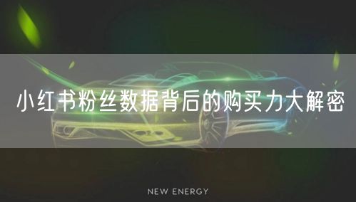 小红书粉丝数据背后的购买力大解密