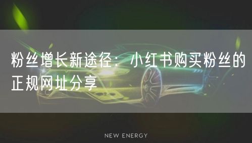粉丝增长新途径：小红书购买粉丝的正规网址分享