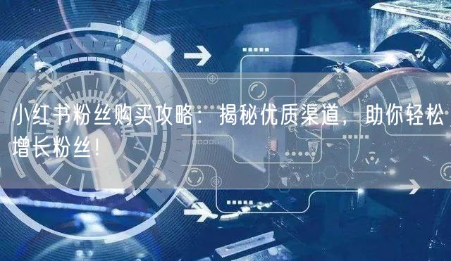 小红书粉丝购买攻略：揭秘优质渠道，助你轻松增长粉丝！