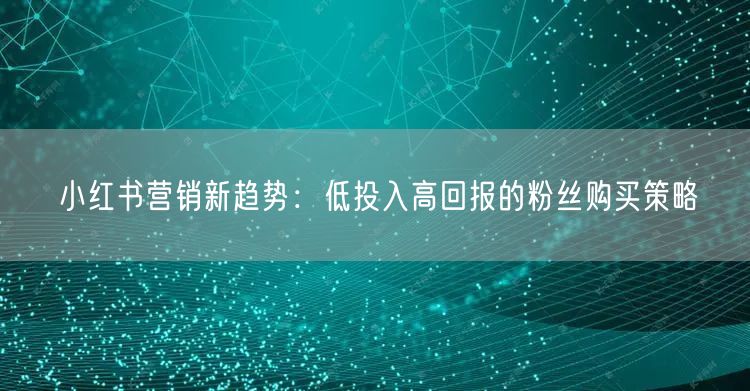 小红书营销新趋势：低投入高回报的粉丝购买策略