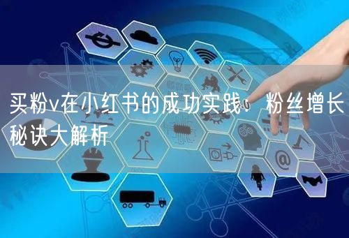 买粉v在小红书的成功实践：粉丝增长秘诀大解析