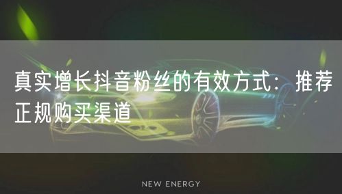 真实增长抖音粉丝的有效方式：推荐正规购买渠道